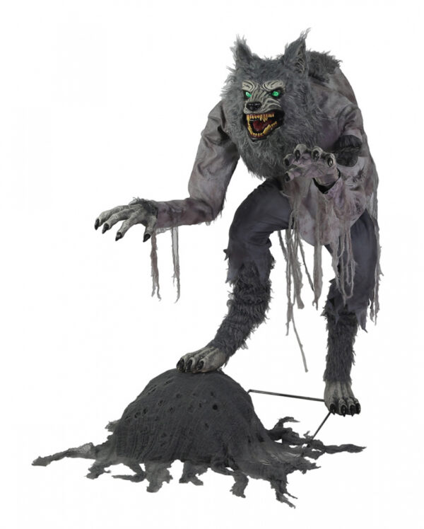 Grimmiger Werwolf Halloween Animatronic