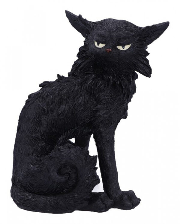 Salem Hexenkatze 19,6cm