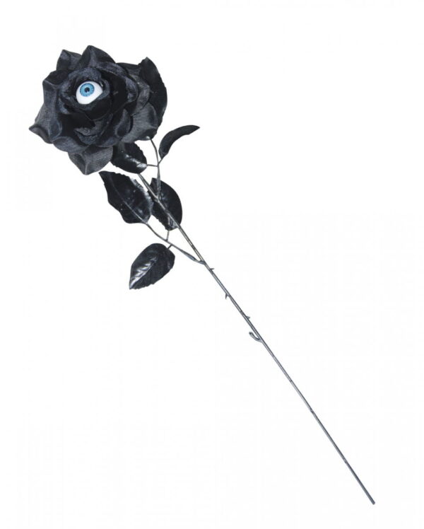 Schwarze Rose mit blauem Auge